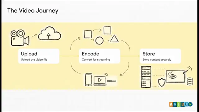 The AVideo Ecosystem