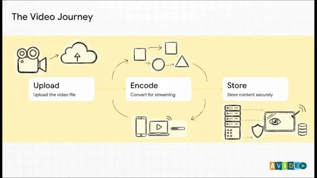 The AVideo Ecosystem